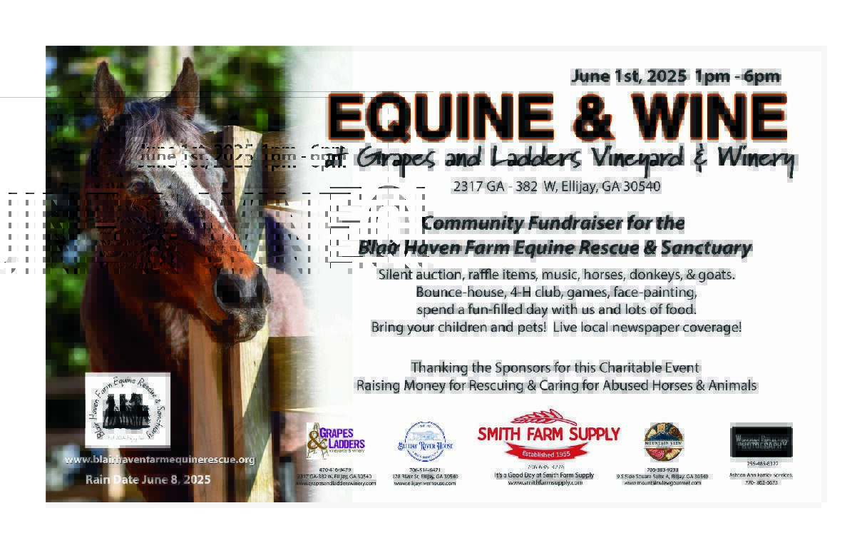 Events You Can’t Miss This June in Ellijay